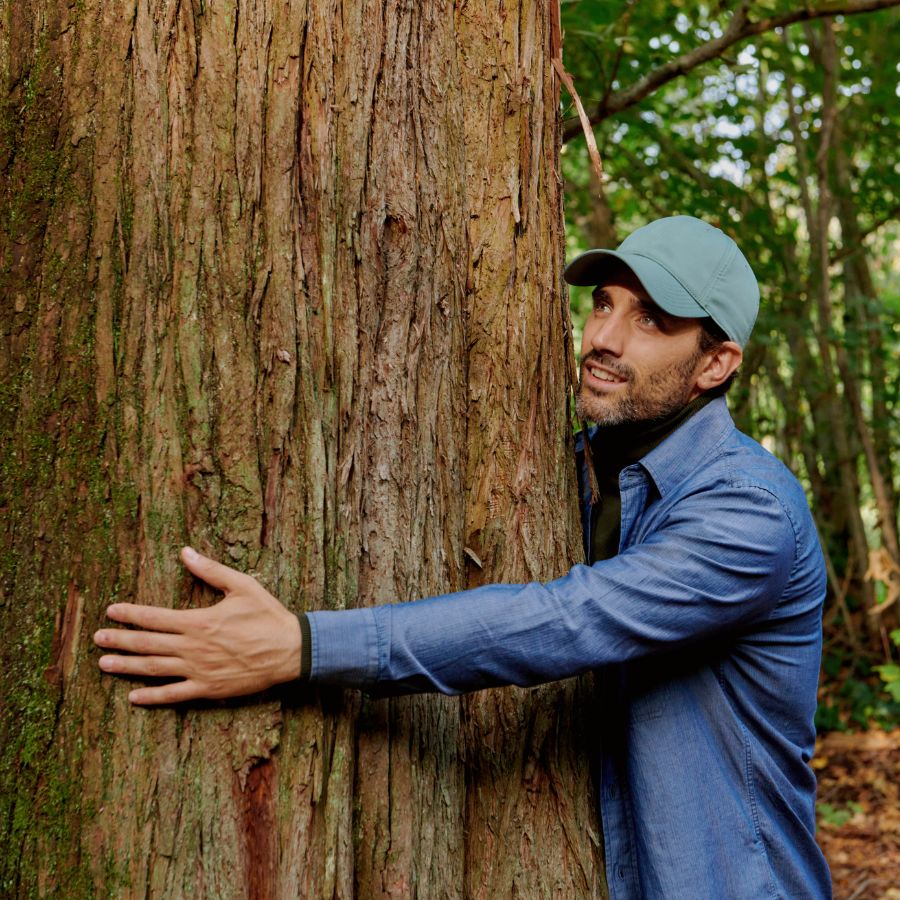 More preferred materials in our collection