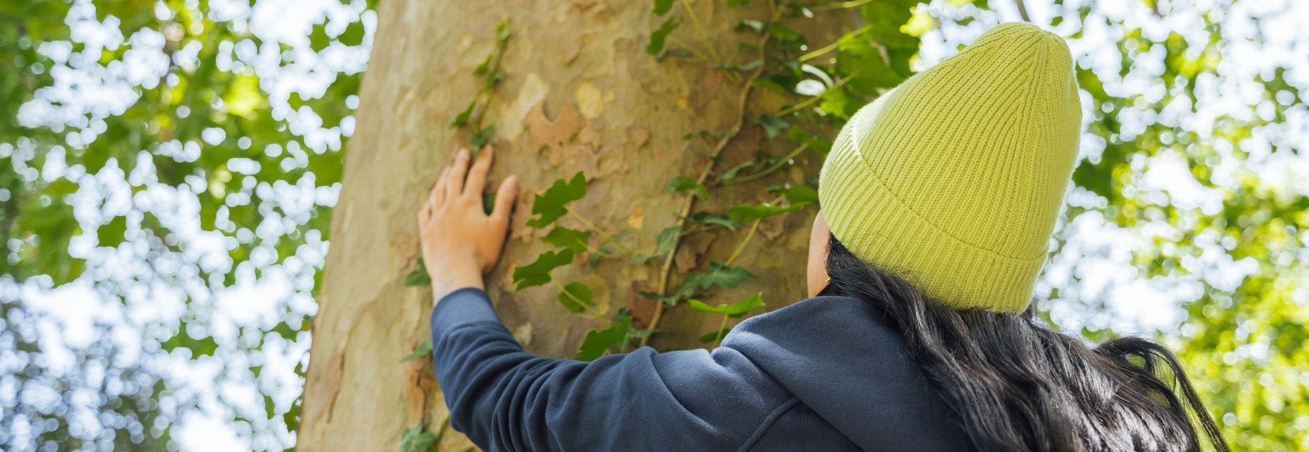 Environment & Emissions