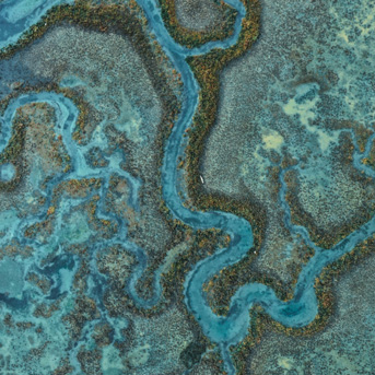 Headwear x Sea the Change in usa