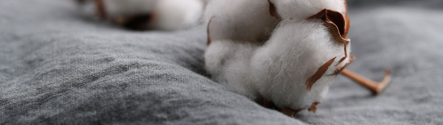Recycled Cotton
